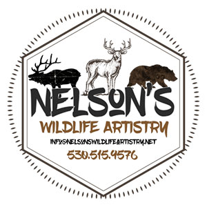 Sponsor: Nelson's Wildlife Artistry