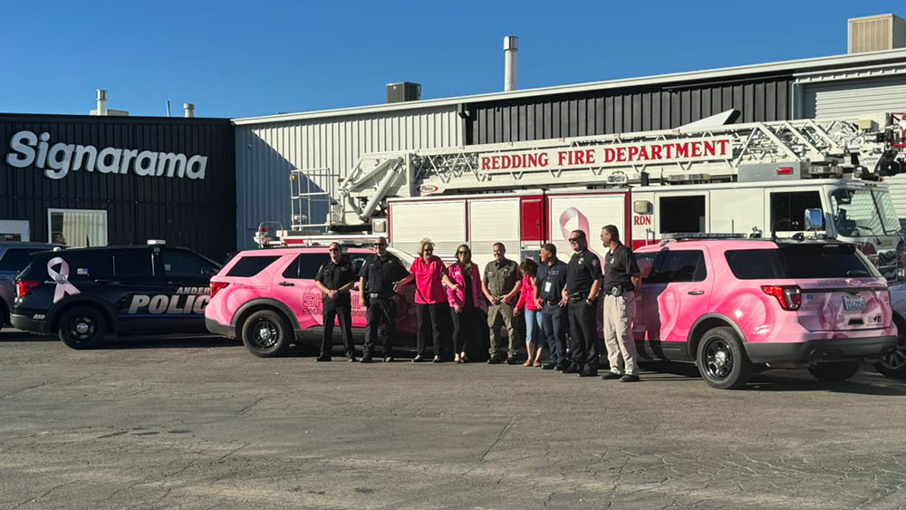 pink wrapped cars