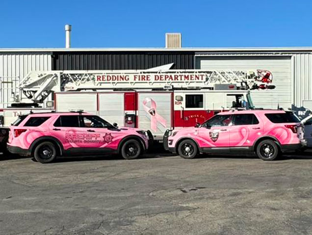 pink wrapped sheriff cars